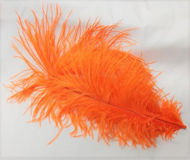 Ostrich Plume