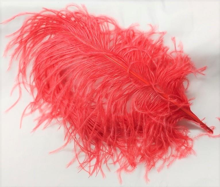 Ostrich Plume