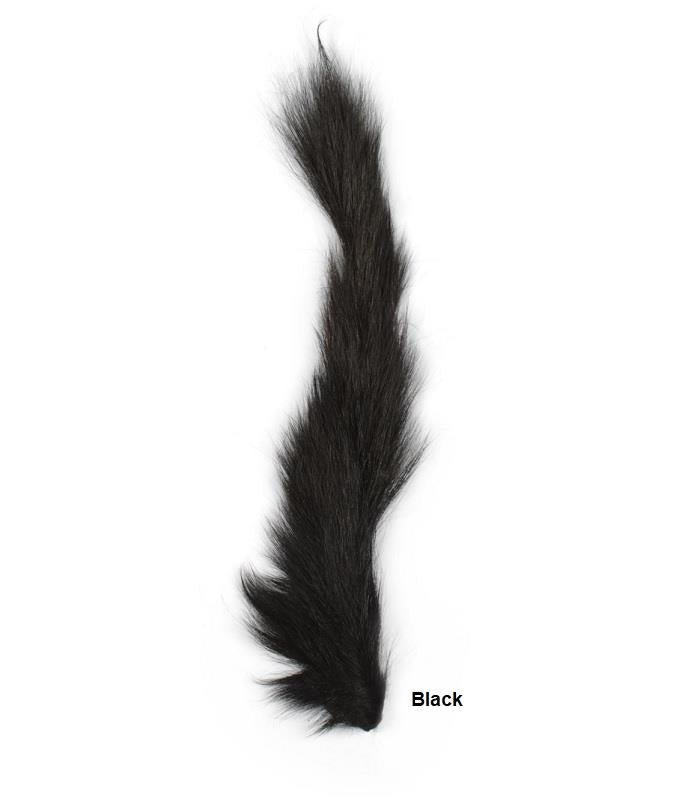 Squirrel Tail