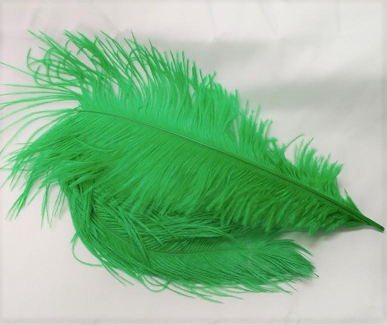 Ostrich Plume