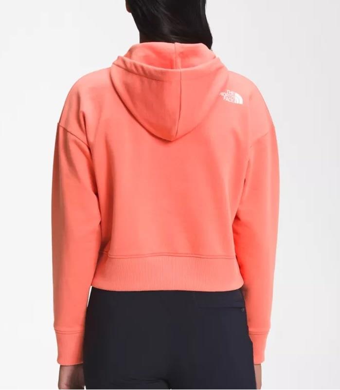 TNF Logo Play Hoodie - Womens
