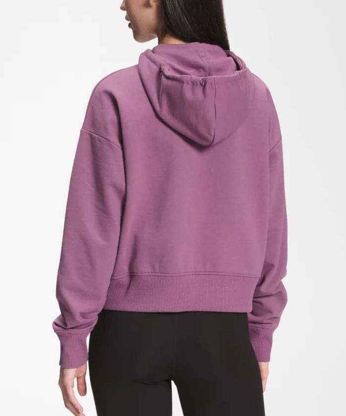 TNF Recycled Expedition Graphic Hoodie - Womens