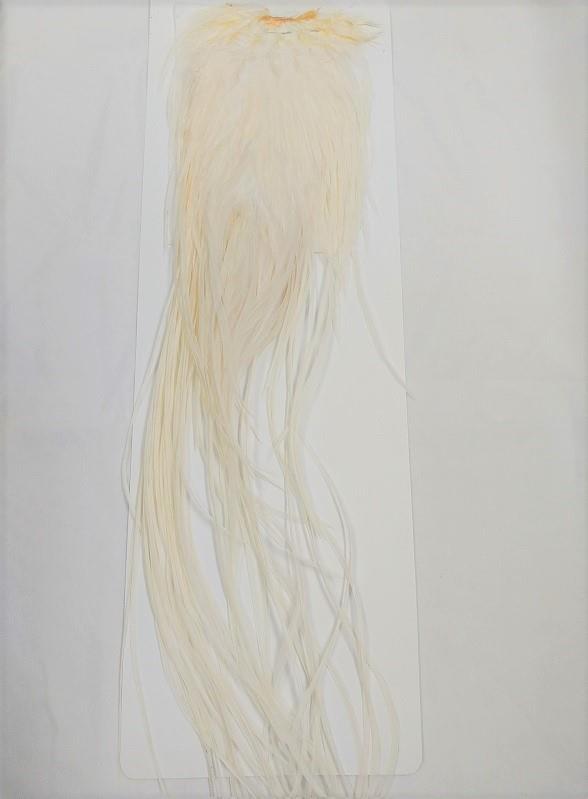 Rooster Saddle - Grades 1 & 2