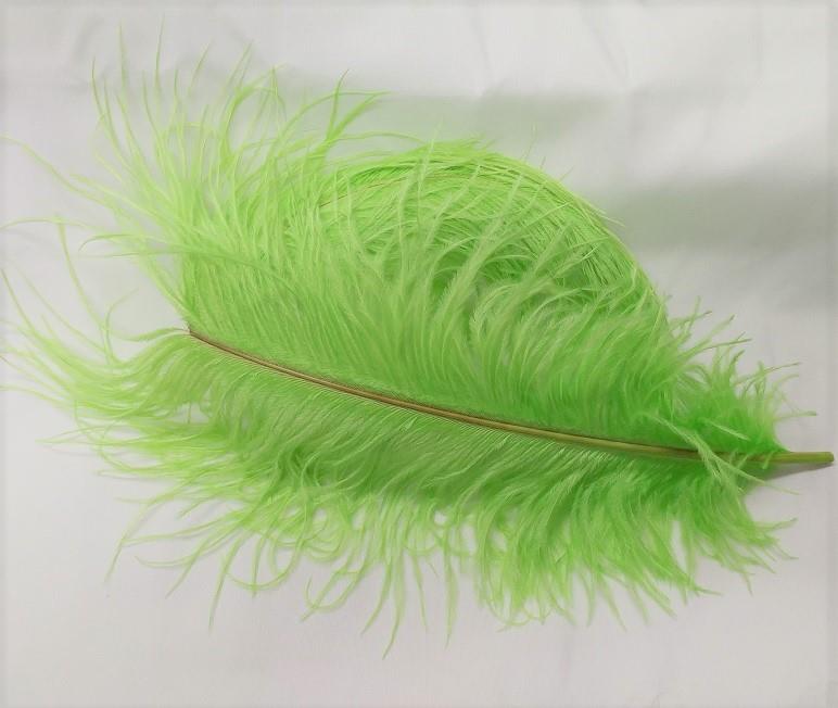 Ostrich Plume
