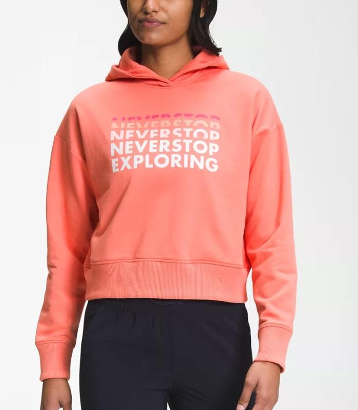 TNF Logo Play Hoodie - Womens