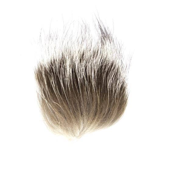 Silver Fox 1x1 Inch Piece