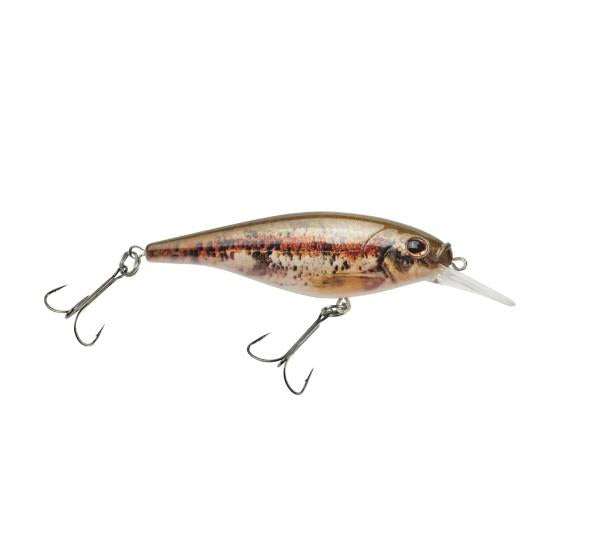 Berkley Flicker Shad 5 Shallow - HD Blacknose Dace