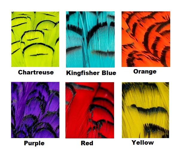 Shor Lady Amherst Tippet Feathers