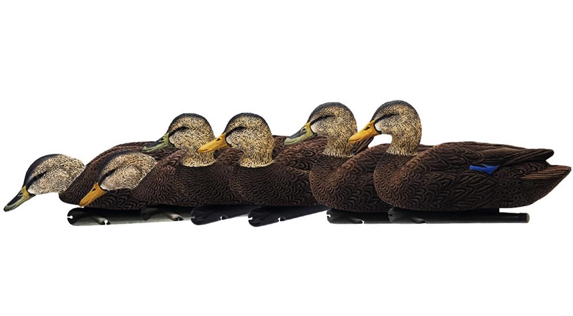 Avian X Topflight Flocked Black Ducks 6pk
