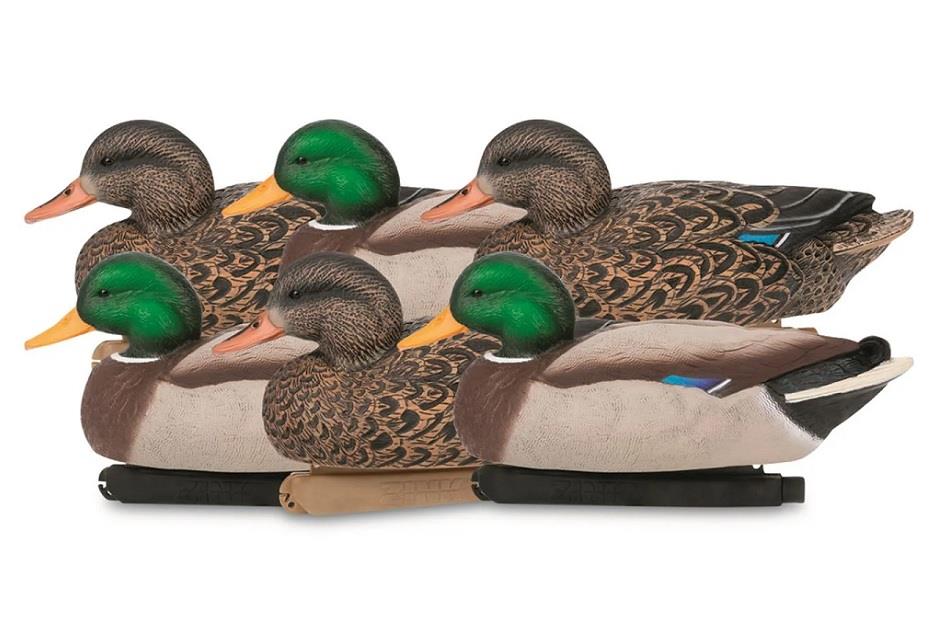 Zink Hunter Series Mallard Duck Decoys, 6 pack