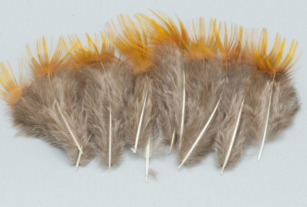 Shor - Golden Pheasant Rump