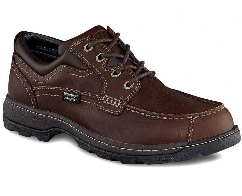 Irish Setter Soft Paw Shoe