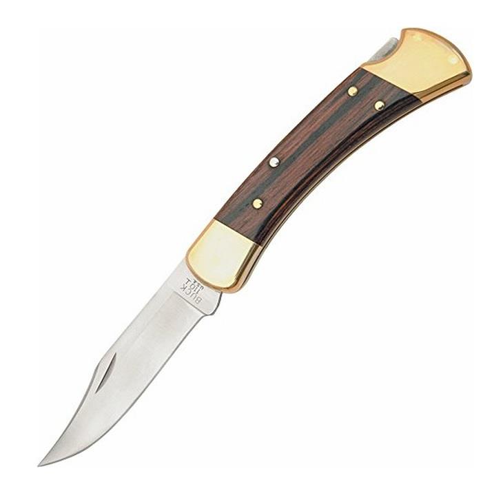 Buck 110 Folding Hunter
