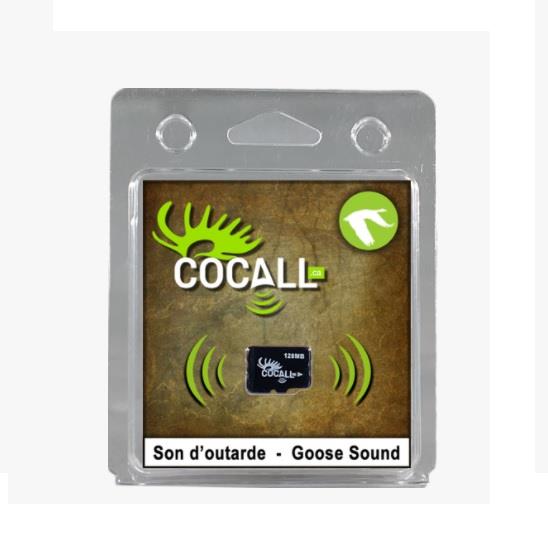 Canada Goose Sounds Card