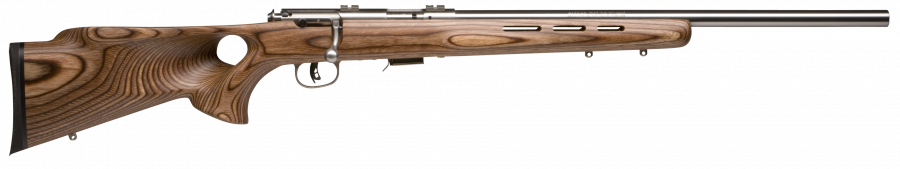 Savage 93 BTVSS 22 WMR