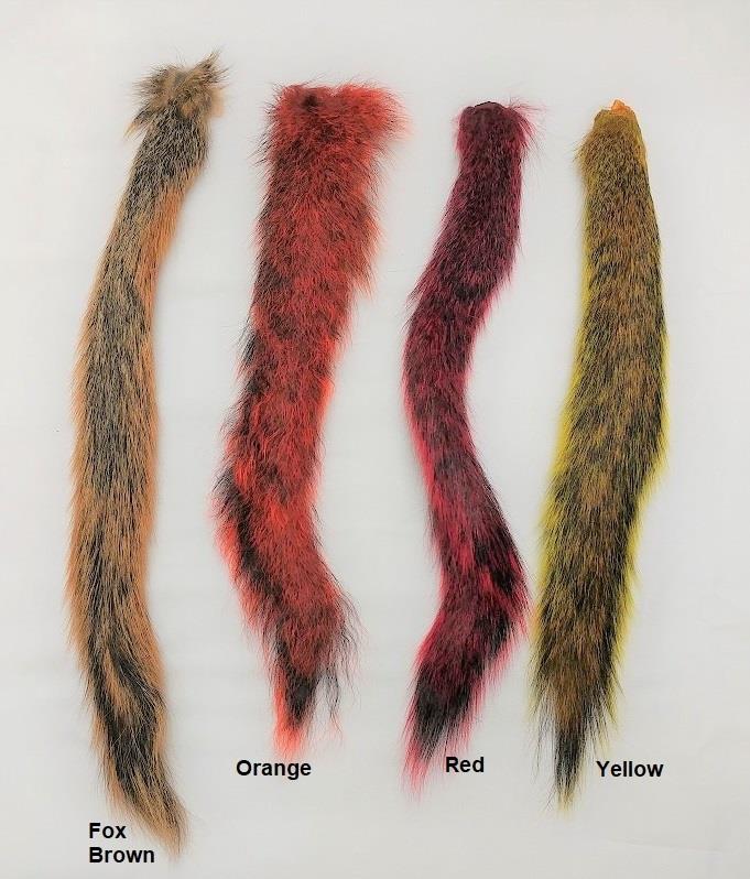 Squirrel Tail