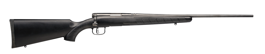 Savage B.Mag 17 WSM