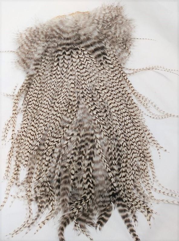 Rooster Saddle - Grades 1 & 2