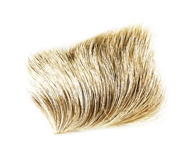 Serge Boulard - Caribou