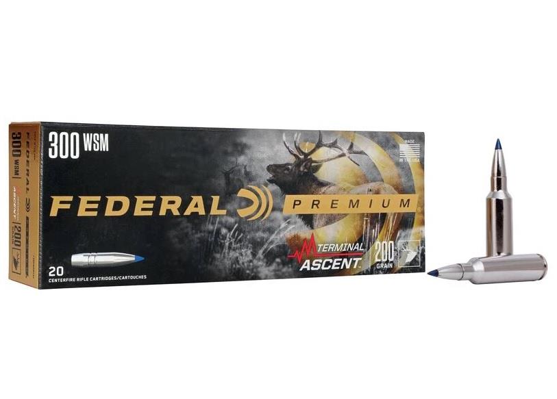 Federal Terminal Ascent 300 Win Short Magnum
