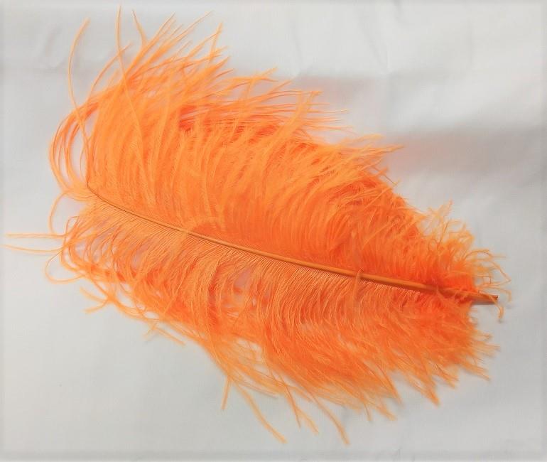 Ostrich Plume