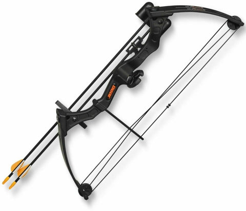 Bear Archery Compound Bow Youth - Right Hand