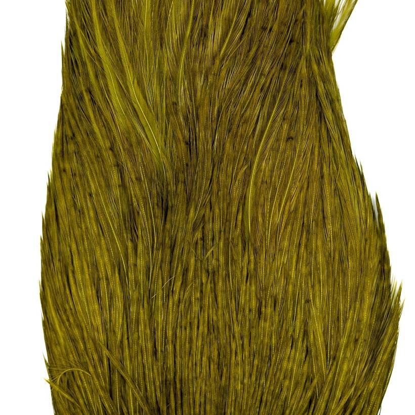 Shor Genetic Rooster Cape