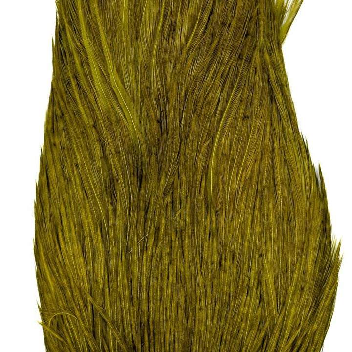 Shor Genetic Rooster Cape