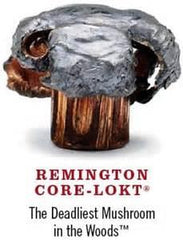 Remington Core-Lokt 30/06 SPRG 165 GR PSP