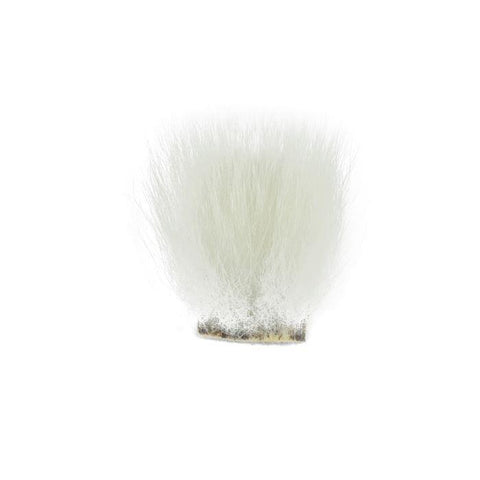 Shor Fishing - Polar Bear