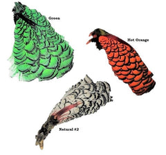 Lady Amherst Head - 1pc