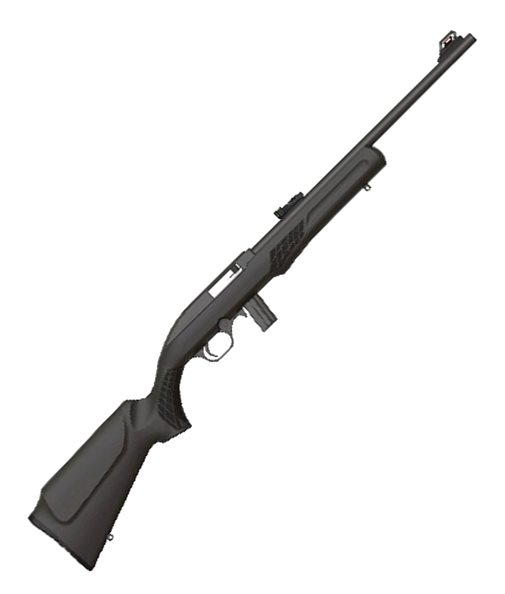 Rossi 22 LR Semi-Auto 18&