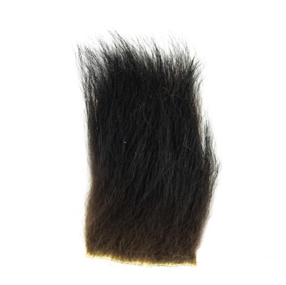 Shor - Black Bear