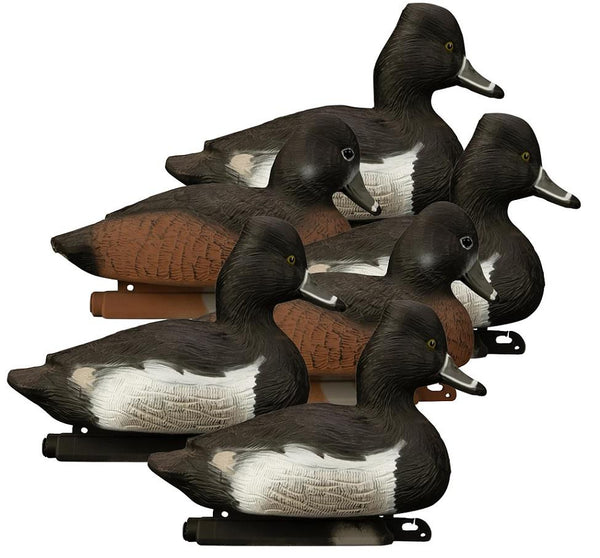 Standard Ringneck 6pk – Blue Ridge Inc