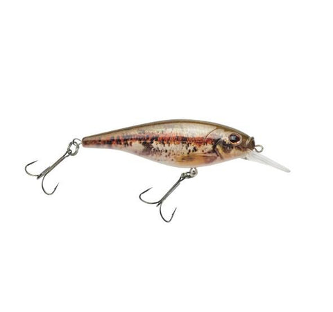 Berkley Flicker Shad 5 Shallow - HD Blacknose Dace