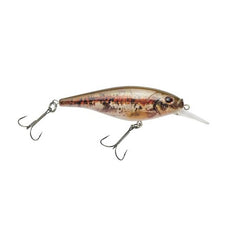 Berkley Flicker Shad 5 Shallow - HD Blacknose Dace