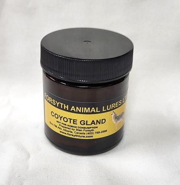 Coyote Gland Lure