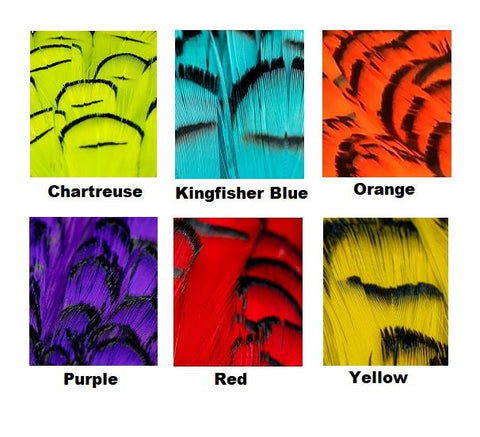 Shor Lady Amherst Tippet Feathers