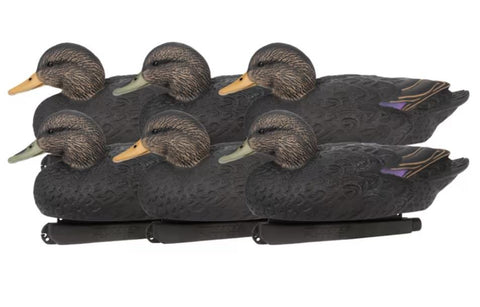 Black Duck Floater Decoys