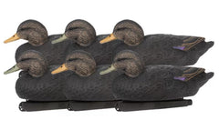 Black Duck Floater Decoys