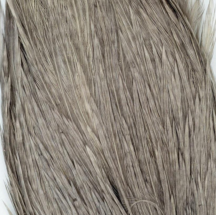 Shor Genetic Rooster Cape