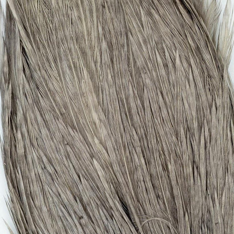 Shor Genetic Rooster Cape