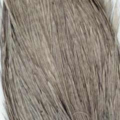 Shor Genetic Rooster Cape