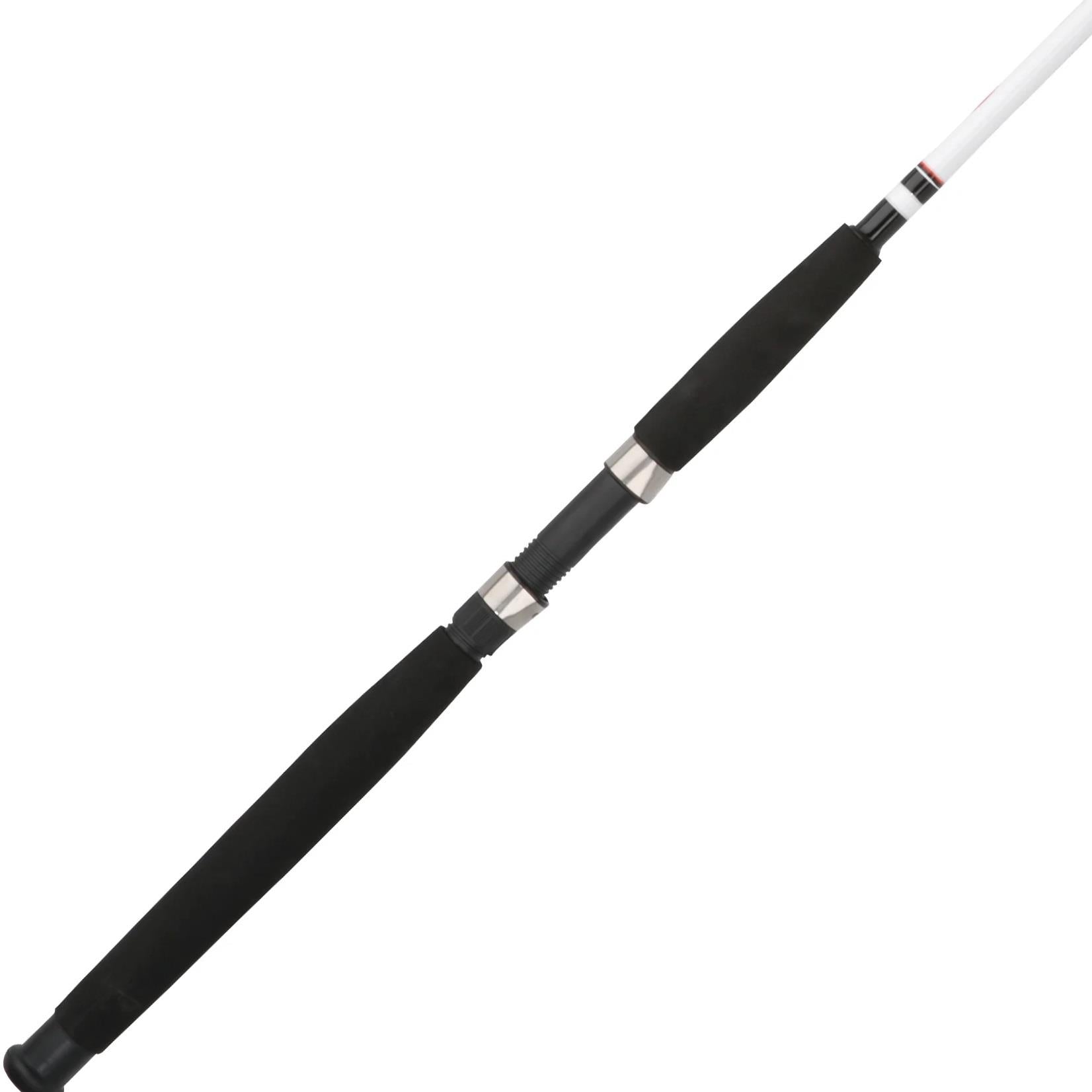 Big Game™ Spinning Rod