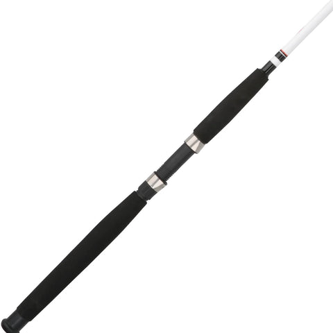 Big Game™ Spinning Rod