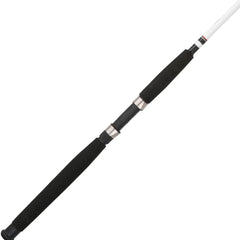 Big Game™ Spinning Rod