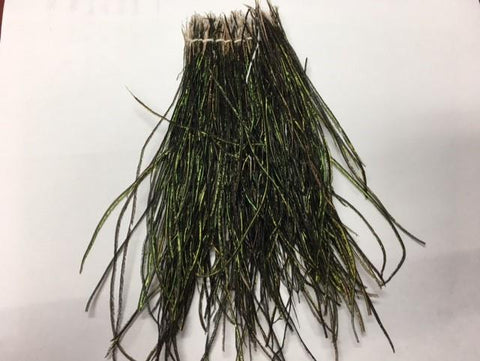 Strung Peacock