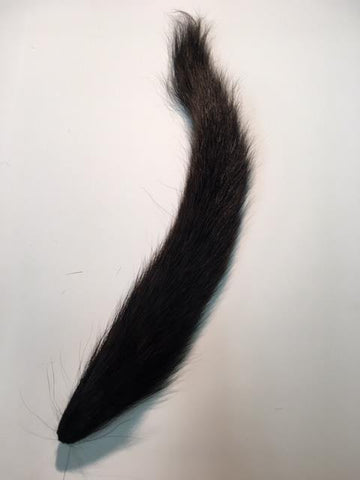 Squirrel Tail