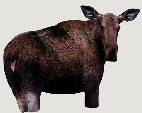 Moose ll