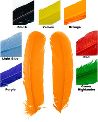 Shor Turkey Quills